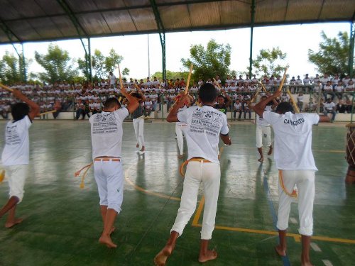 consciencia negra 2013 5