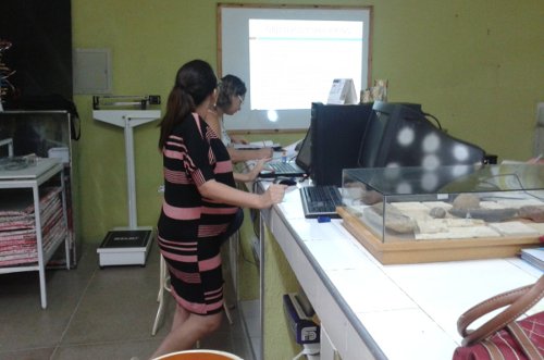 planos de trabalho 2