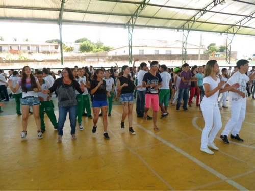 dia do desafio 2014 2