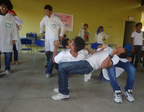 ciencia em evidencia 6