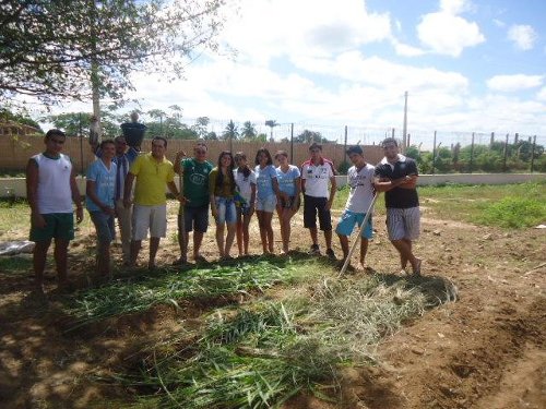 superacao e meio ambiente 3