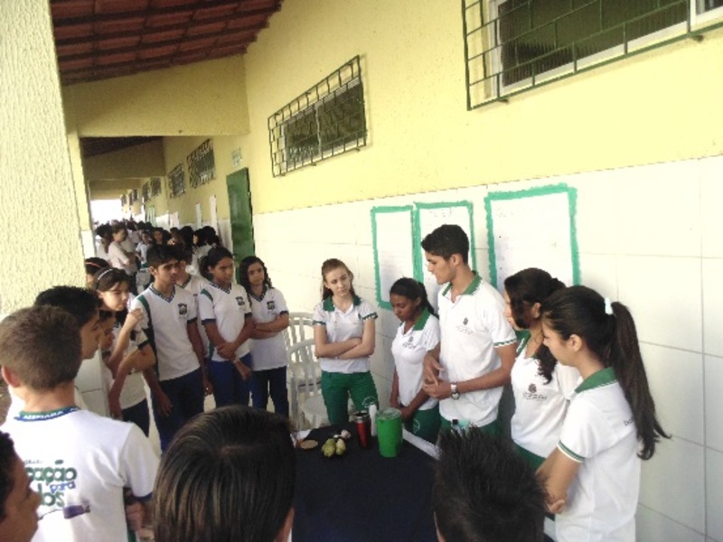 exposicao fitoteraia 2