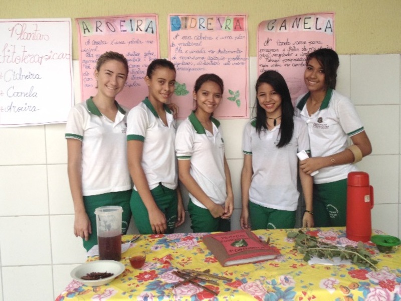 exposicao fitoteraia 3