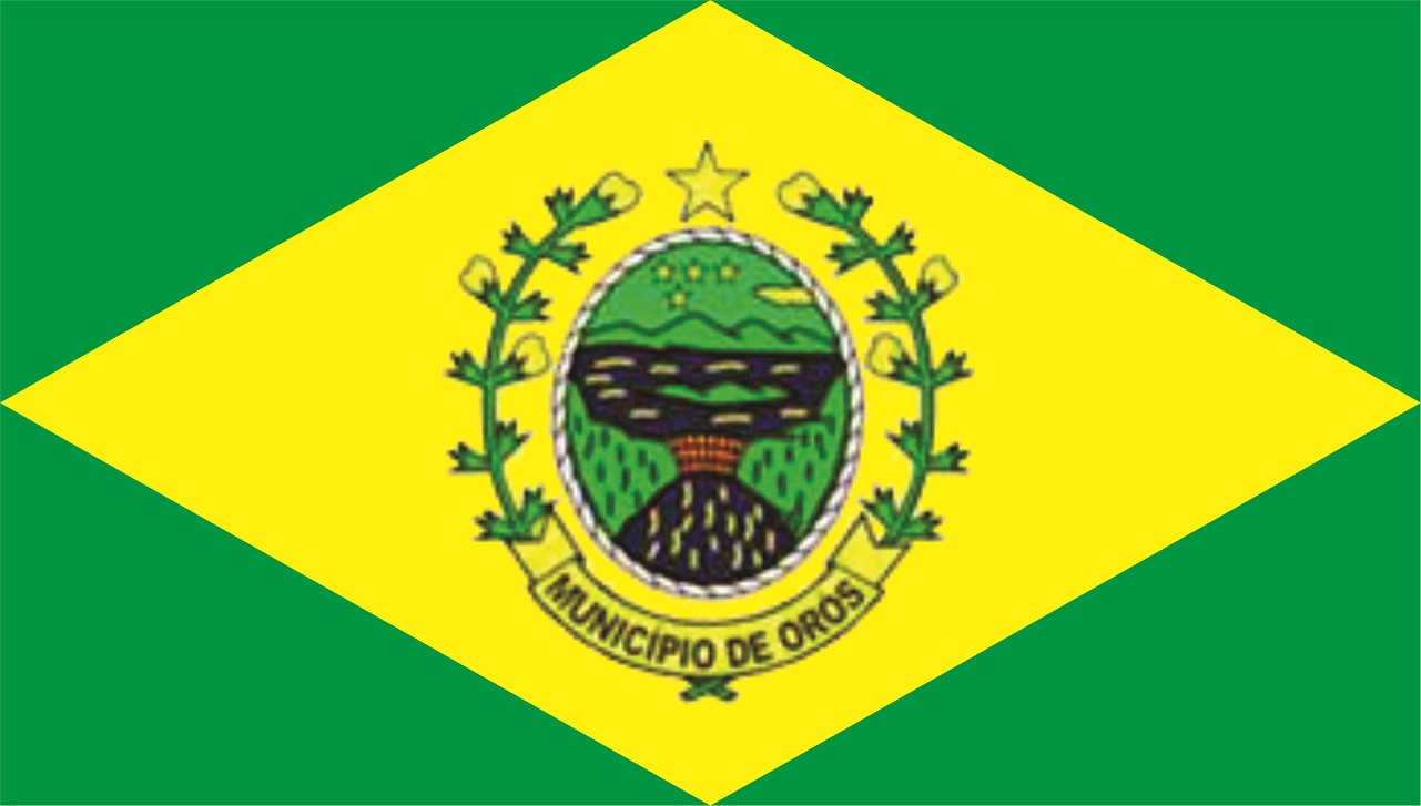 BANDEIRA DO MUNICIPIO 