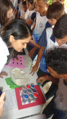 dia da matematica 2015 2