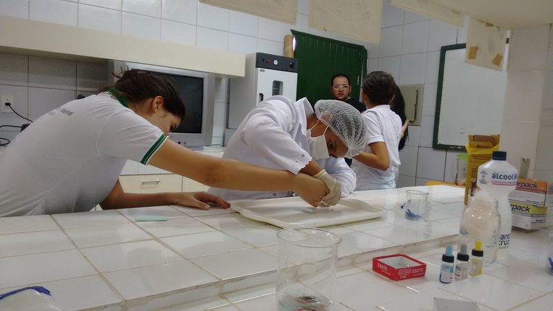 tipagem1 .redimensionado