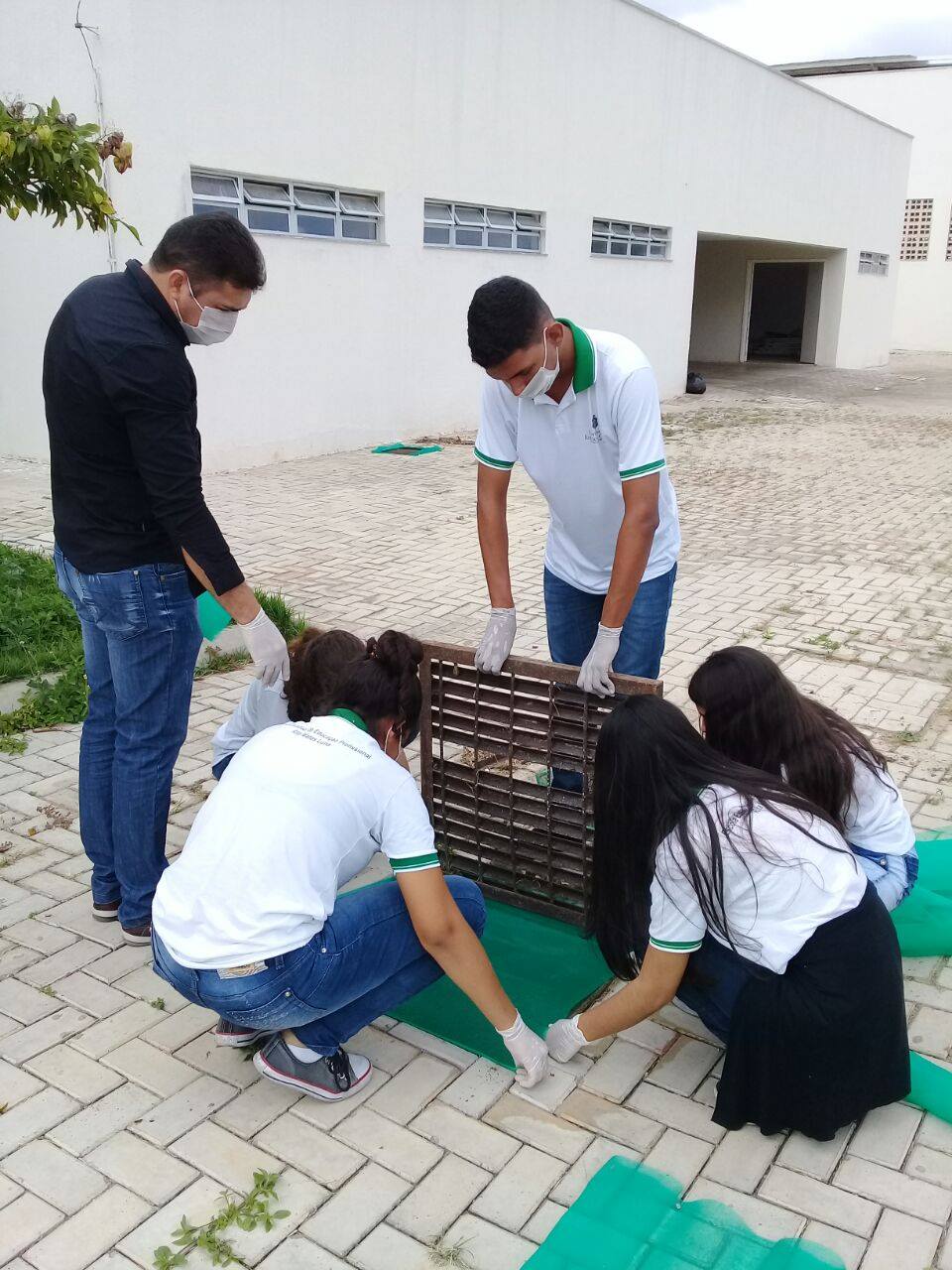 aedes 2